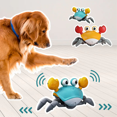 Crawling Crab Automatic Dog Toy